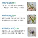 곡식정원 | [부산 연산동꽃집] 감각 뛰어난 사장님이 계신 정원같은 꽃집 '마르타의 정원' 솔직 후기