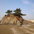 청포대 별주부 이미지