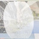 늘푸른경로당 | 수서유기견무료분양 할머니와 슈나우저의 운명적 만남?