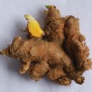 진도호시 이미지