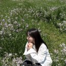 Jeju (2)