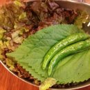 치치톡