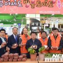 세도농협 하나로마트 뉴시스