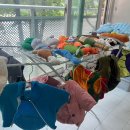 세탁하는날 이미지