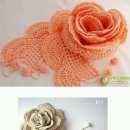 도안세탁 이미지