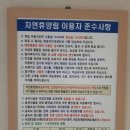 국립진도자연휴양림 이미지