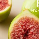 자연농수산 - 강남구 | 자연농수산