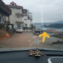 지안FOREST 이미지