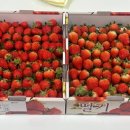 농업기술센터 내 이미지