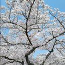 함안고등학교 이미지