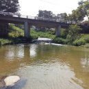 신무농장 이미지