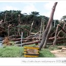 곤파스 태풍이 몰고간 자리(서산시) 이미지