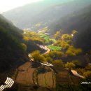 숲실마을 Daum카페