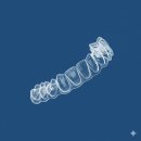나노라이너치과교정과치과의원 | 치과 투명교정 후기 : 화성시 나노라이너로 편안하게 교정하기 서울조암치과에서 눈에 띄지 않는 교정...