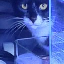 물속풍경수족관 이미지