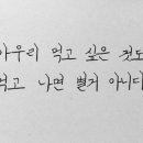 레드핏휘트니스 이미지