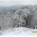울진백양 티스토리