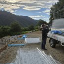 설악호텔 미송 이미지