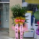 태광건업 이미지