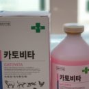 신진약국 이미지