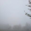 도장농장 이미지