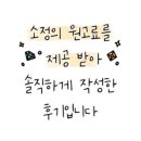 광주 애견유치원 애견호텔 플레이멍 이미지