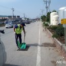 주정차단속-49 이미지