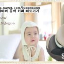 영광카시트