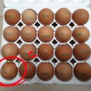 초월읍 산수로 68 이미지