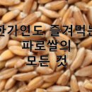 밥성형외과의원 이미지