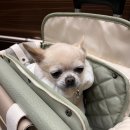 마인드휘트니스 올레시장점 | 제주도 1일차 | 용머리해안. 송도옥. 함덕해수욕장. 비밀의 숲. 헤이서귀포. 서귀포 올레시장