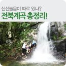 안성면011 네이버블로그