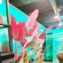 비투PC 이미지