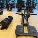 렉스휘트니스 이미지