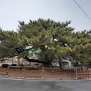 옥산리 매표소 이미지