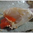 진미식당 Daum카페