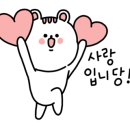 싸다구펫 이미지