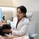 선릉동물병원 이미지