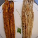 낙동강장어 이미지