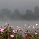 백마공원 이미지