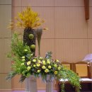 샬롬교회 이미지