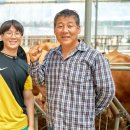 안흥목장 이미지