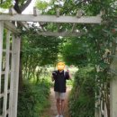 다홍 중화요리 이미지