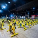 대영 헬스 이미지