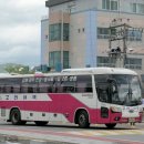 고령차유리 이미지