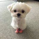 네모네모 이미지