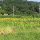 지우농장 이미지