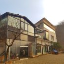 고은매