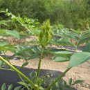 갓골농장 이미지