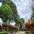 오아시스 민박2 이미지